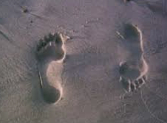 75502C52-419B-4AB4-8359-EDDAAC7BC7FD