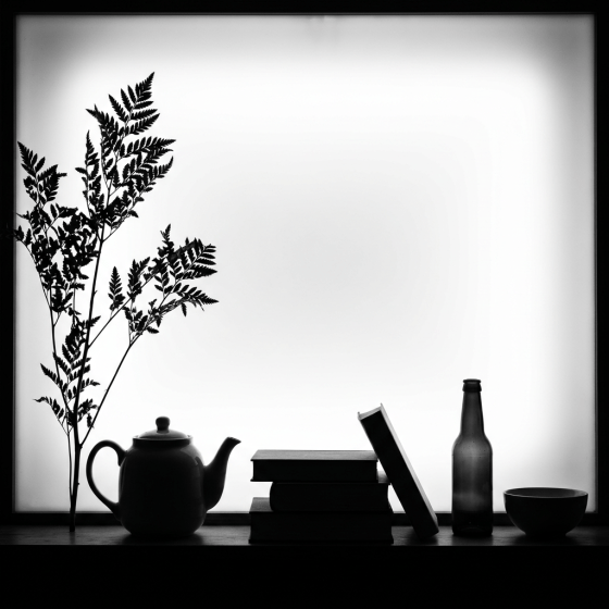 Silhouettes of a fern branch, teapot, stacked books, leaning book, bottle, and bowl on a windowsill